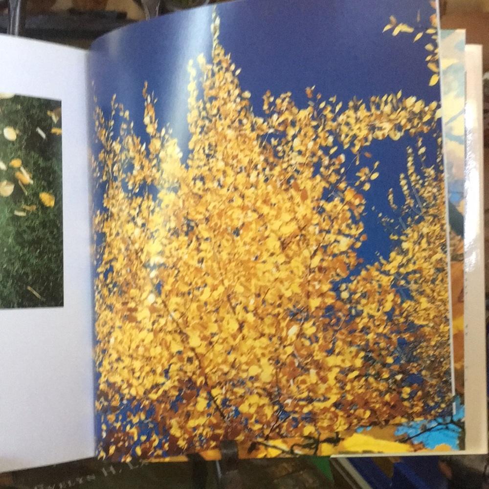 Coffee Table book of Photography by Evelyn Lauder “The Seasons Observed”. NWOT. - Picture 3 of 6